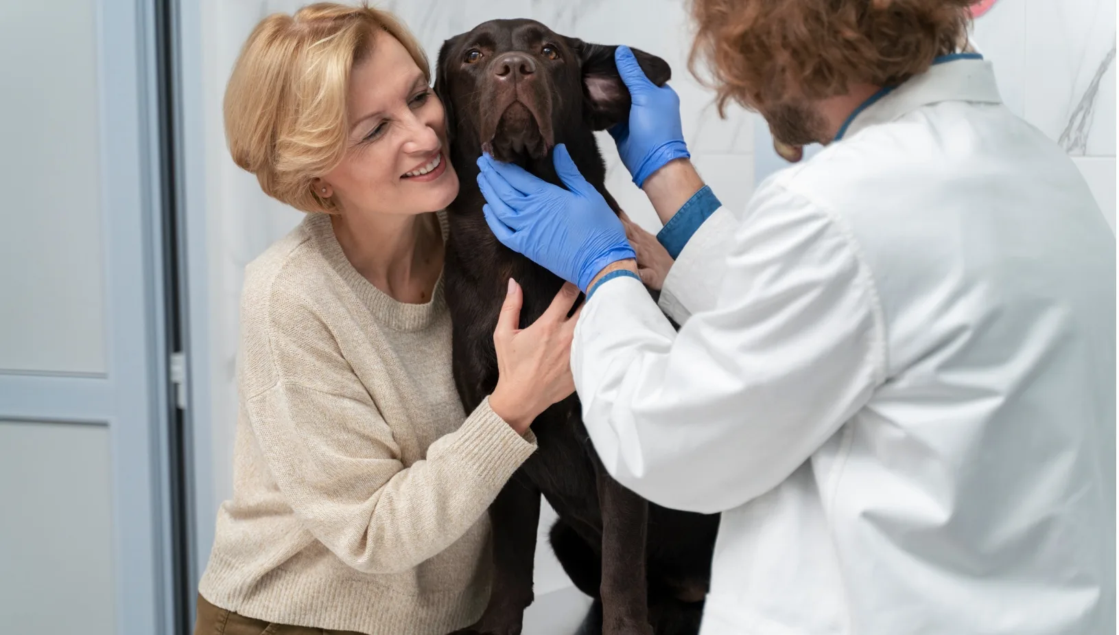 Ganan terreno los seguros para mascotas